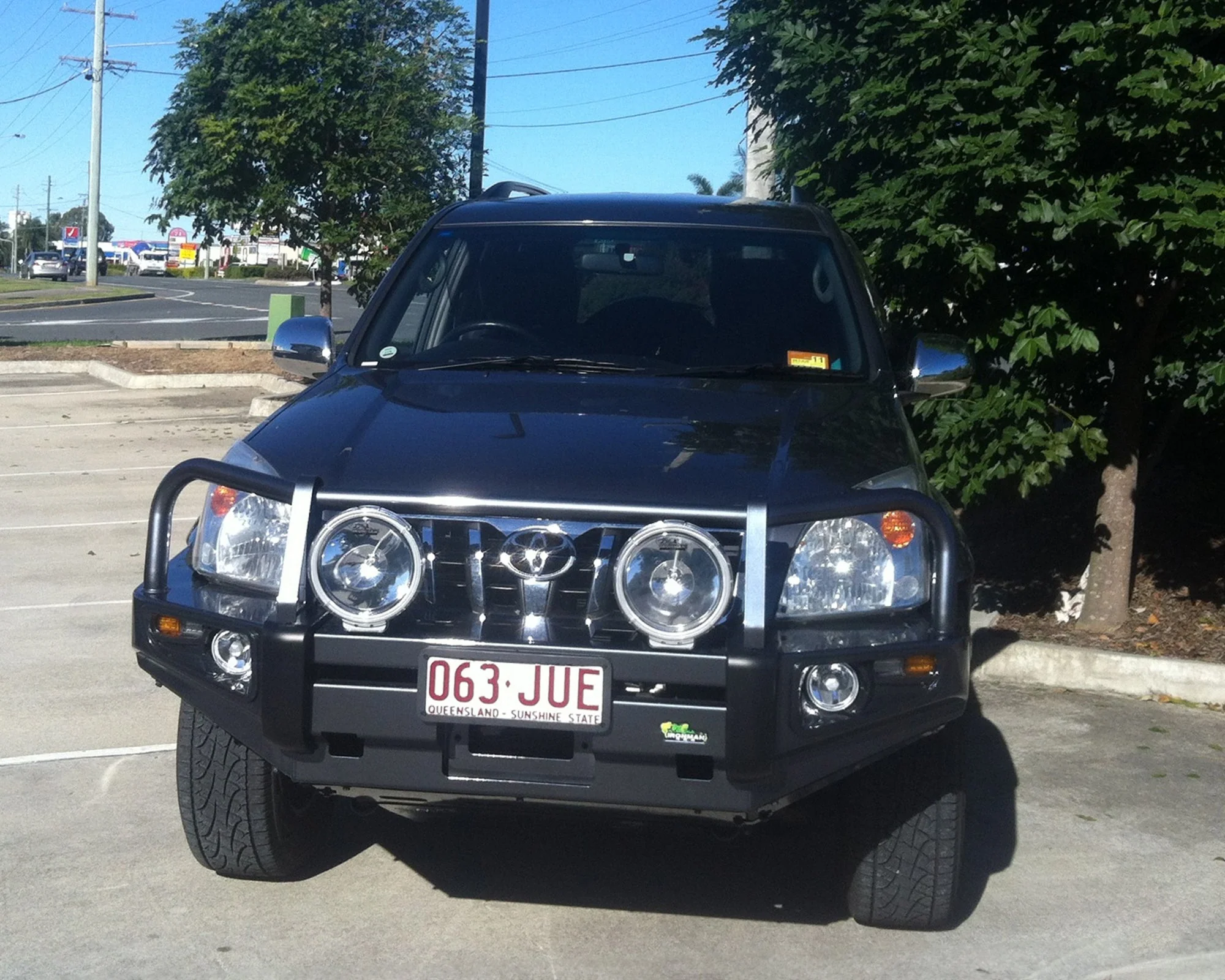 Deluxe Bull Bar - Image 3